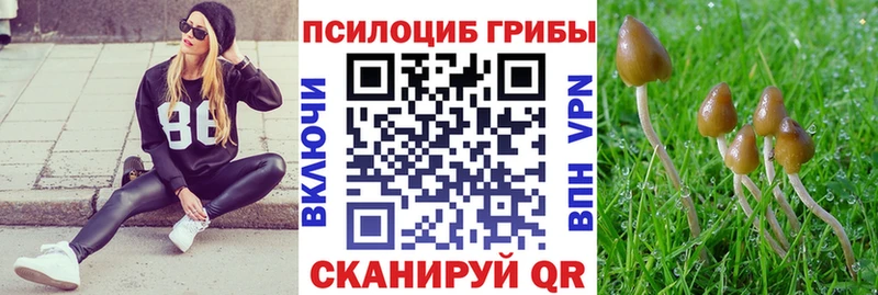Псилоцибиновые грибы ЛСД  Усолье 